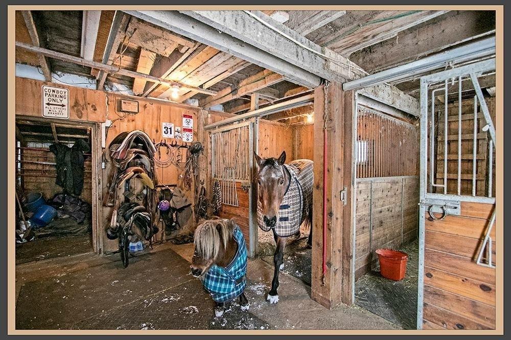 Prelist Beautiful 4+ Acre Hobby Farm in Blackstock Ontario