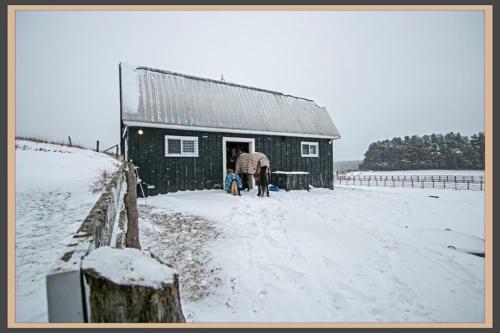 Prelist Beautiful 4+ Acre Hobby Farm in Blackstock Ontario
