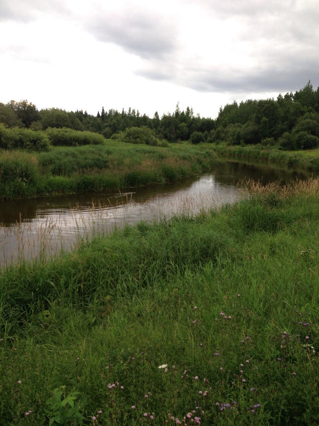 Prelist River Front Property for sale