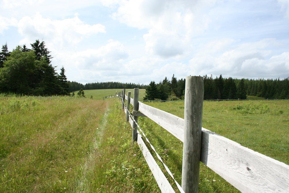 Prelist Large Nova Scotia Luxury Farm For Sale With 240 Acress of